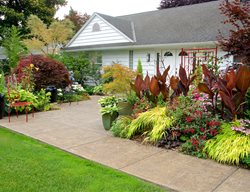 Front Landscape With Cannas And Japanese Forest Grass
Garden Design
Calimesa, CA