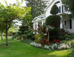 Front Of House
Garden Design
Calimesa, CA