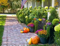 Front Planter With Hydrangeas
Garden Design
Calimesa, CA