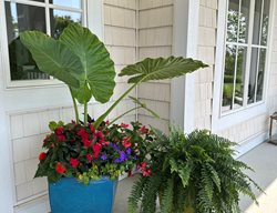 Front Porch Plant Container
Garden Design
Calimesa, CA
