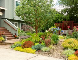 Front Yard Landscape With Gold And Red Foliage
Garden Design
Calimesa, CA