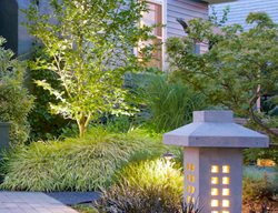 Front Yard Landscaping Ideas
Garden Design
Calimesa, CA