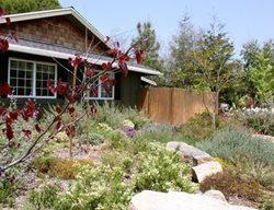 Front Yard Meadow
Garden Design
Calimesa, CA