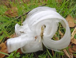 Frost
Garden Design
Calimesa, CA