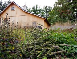 Garage Garden
Donald Pell Landscape Design
Phoenixville, PA