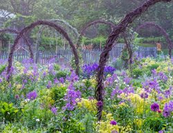 Garden Arches, Chanticleer
Chanticleer
Wayne, PA