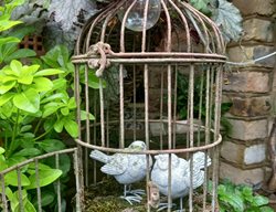 Garden Art Birdcage
Garden Design
Calimesa, CA