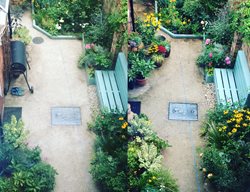 Garden Bench And Plants, Garden Comparison
Garden Design
Calimesa, CA