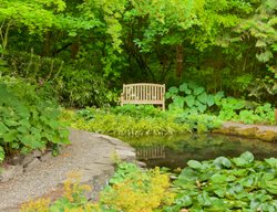 Garden Bench And Pond
Garden Design
Calimesa, CA
