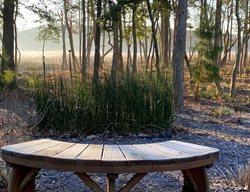 Garden Bench
Morty Bachar / Patty Storms
Lewes, DE