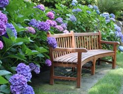 Garden Bench With Hydrangeas
Garden Design
Calimesa, CA
