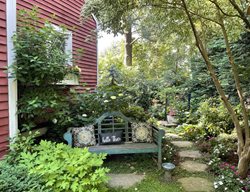 Garden Bench With Pillows
Alli Guleria
Washington D.C., 