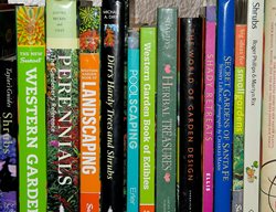 Garden Books, Winter Reading
Garden Design
Calimesa, CA