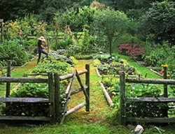 Garden Conservancy Open Days
Garden Design
Calimesa, CA