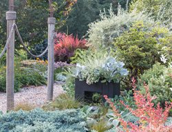 Garden Container In Garden Border
Le-jardinet
Seattle, WA