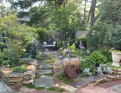 Garden Corner With Bench
Alli Guleria
Washington D.C., 