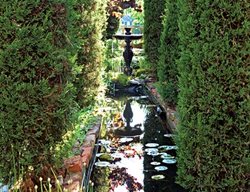 Garden Curiosities
Garden Design
Calimesa, CA