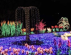 Garden D’lights
Garden Design
Calimesa, CA