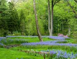 Garden Design Magazine
Garden Design
Calimesa, CA