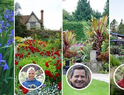 Garden Design Webinar
Garden Design
Calimesa, CA