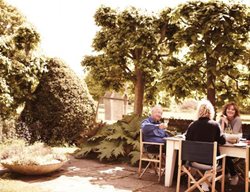 Garden Design
Calimesa, CA