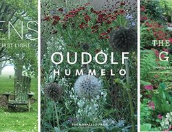 Garden Design
Calimesa, CA