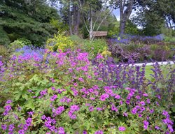 Garden Design
Calimesa, CA