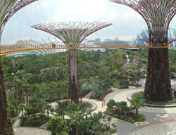 Garden Design
Calimesa, CA