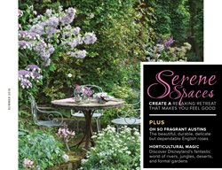 Garden Design
Calimesa, CA