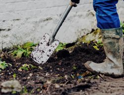 Garden Design
Calimesa, CA