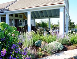 Garden Design
Calimesa, CA