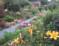 Garden Design
Calimesa, CA