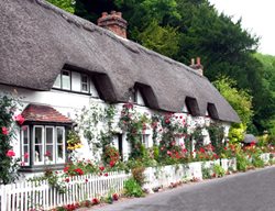 Garden Design
Calimesa, CA