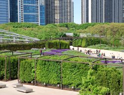 Garden Design
Calimesa, CA