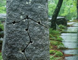 Garden Design
Calimesa, CA