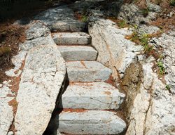 Garden Design
Calimesa, CA