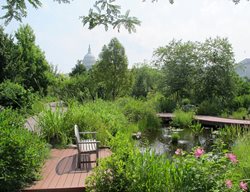 Garden Design
Calimesa, CA