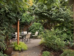 Garden Design
Calimesa, CA