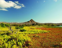 Garden Design
Calimesa, CA