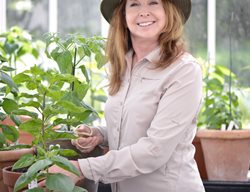 Garden Design
Calimesa, CA