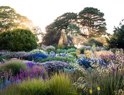 Garden Design
Calimesa, CA