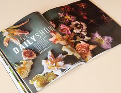 Garden Design
Calimesa, CA