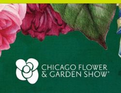 Garden Design
Calimesa, CA