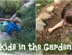 Garden Design
Calimesa, CA