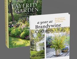 Garden Design
Calimesa, CA