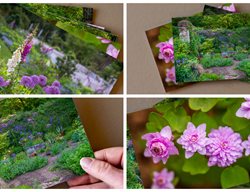 Garden Design
Calimesa, CA