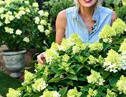 Garden Design
Calimesa, CA