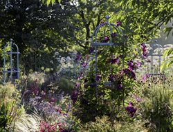 Garden Design
Calimesa, CA
