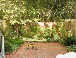 Garden Design
Calimesa, CA