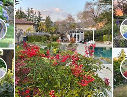 Garden Design
Calimesa, CA